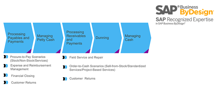 Cash And Liquidity Management Within Sap Business Bydesign