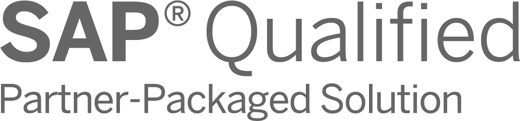 SAP Qualified Package READY-for-Purpose for Professional Services